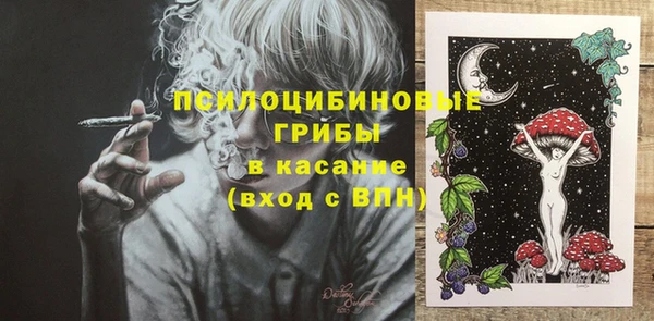 гидра Зеленокумск