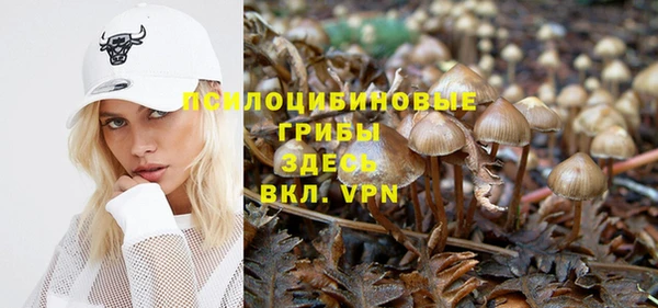 гидра Зерноград