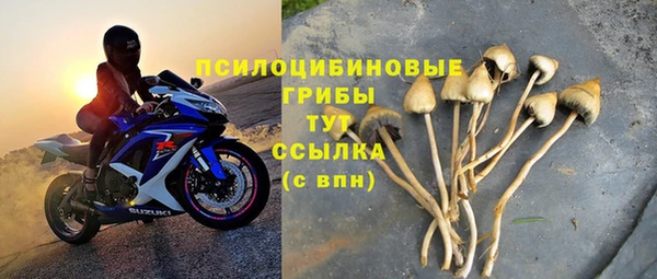 гидра Зерноград