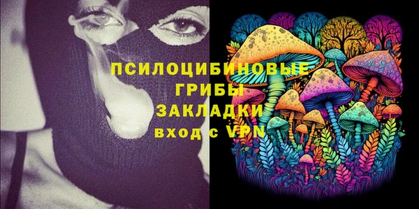 гидра Зеленокумск