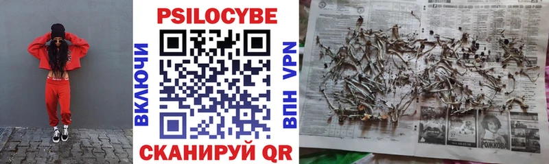 Псилоцибиновые грибы Psilocybe где купить наркотик площадка как зайти Волгоград KRAKEN